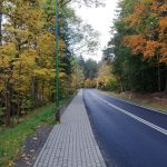 Beautiful autumn scene with colorful trees lining a quiet road in Karkonosze National Park.