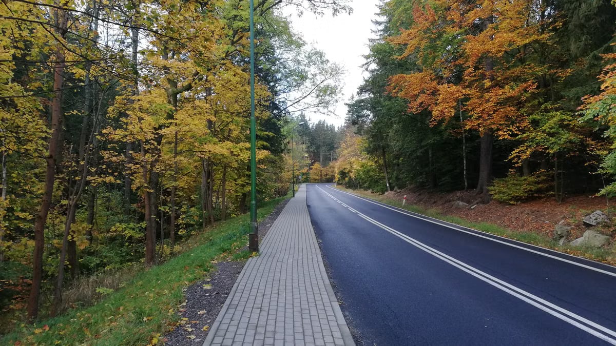 Cesta k zdravému životu